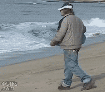 뭘 하고싶은지 모르겠는 짤.gif | 인스티즈