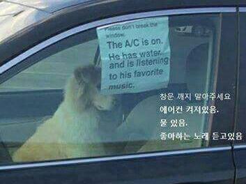 멍멍이 주인의 경고문 | 인스티즈