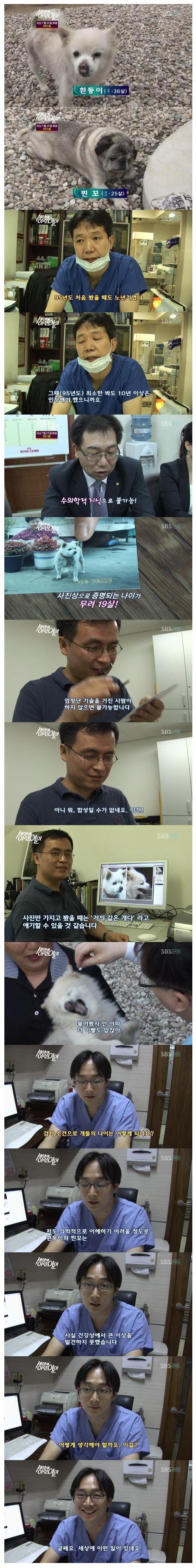 30년이상 산 개 | 인스티즈