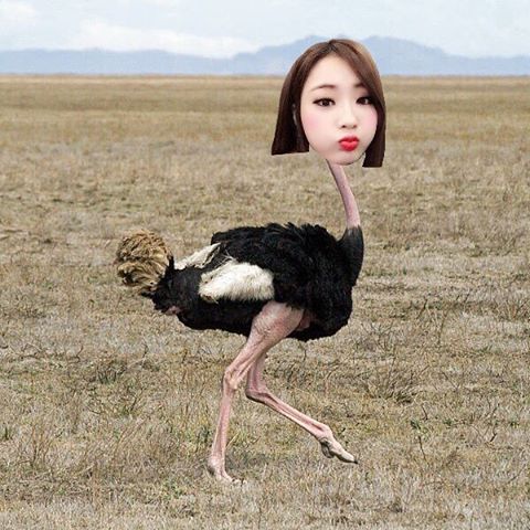 경리 다리 길이 실감나는짤들 | 인스티즈