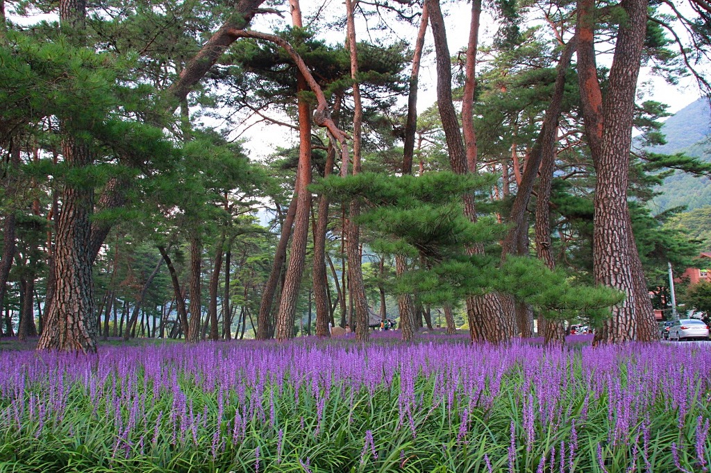 화북 이미지