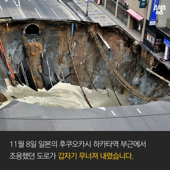 일본인들 재난 예측수준 | 인스티즈