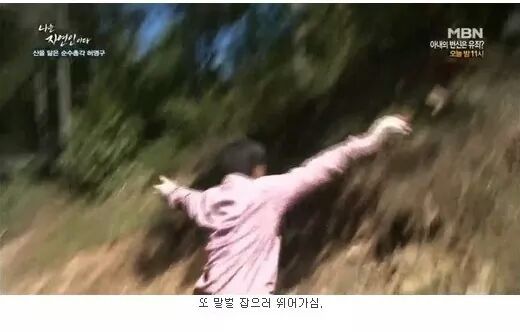 나는 자연인이다 레전드.JPG | 인스티즈