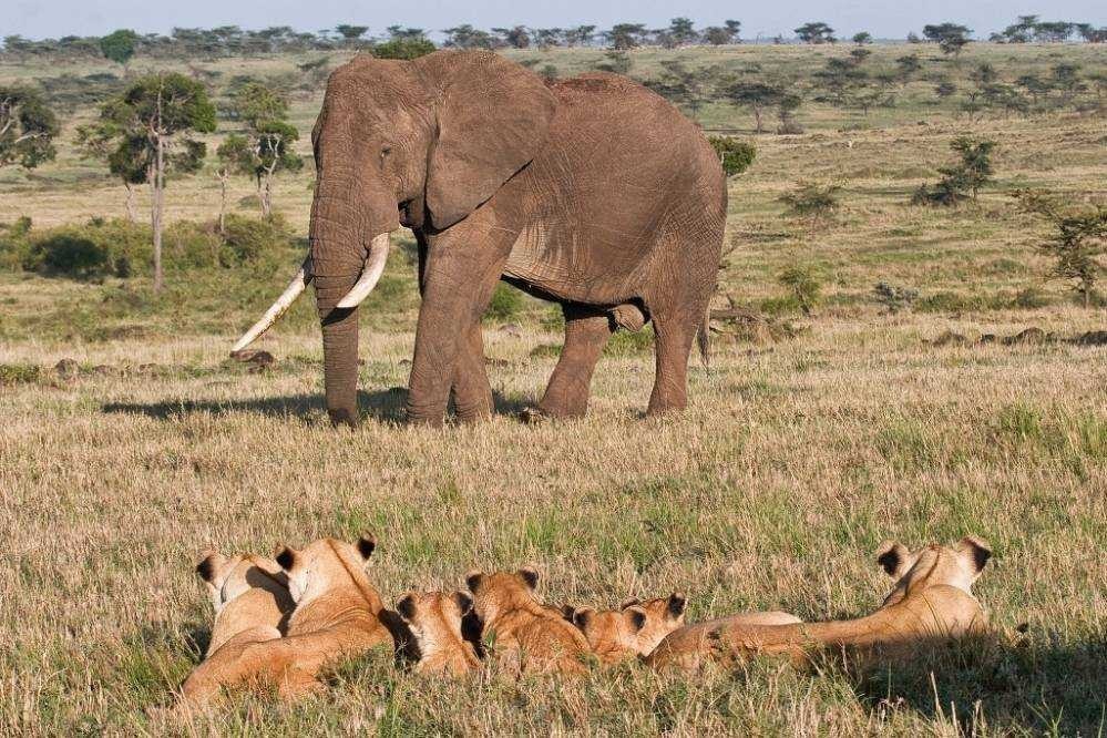 갓끼리.JPG | 인스티즈