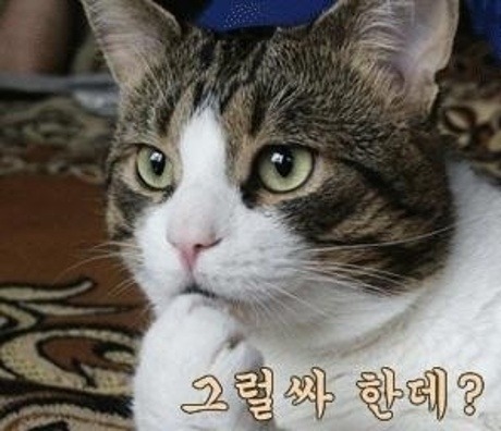 EU와 UK와 스코틀랜드와 잉글랜드 모두가 만족하는 방법 | 인스티즈