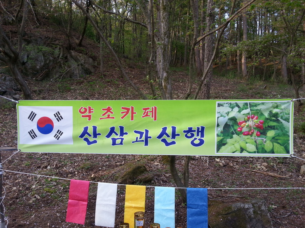 태진사 이미지