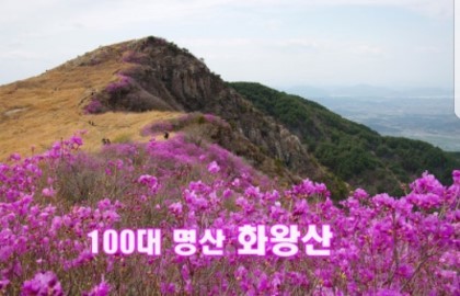 화왕산 이미지
