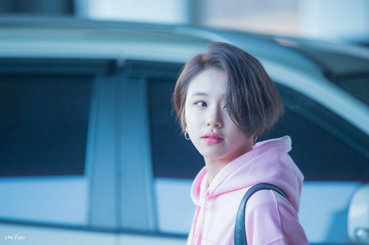 채영이 기여어 | 인스티즈