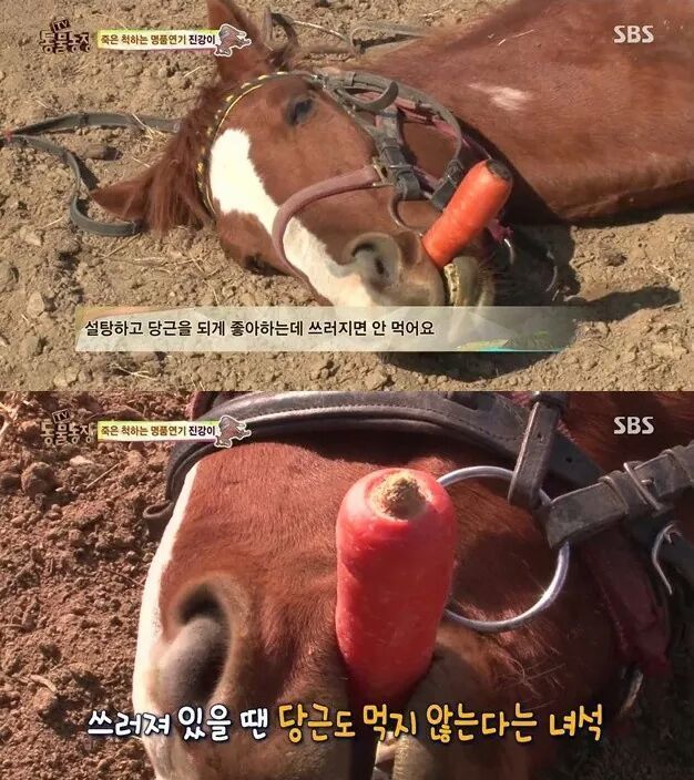 말도 안되는 말 | 인스티즈