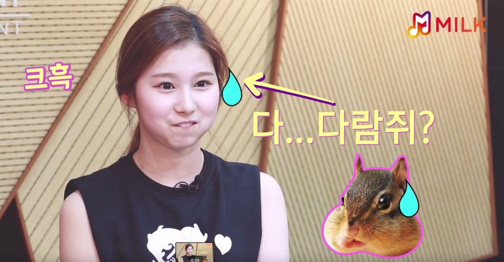 닮은 동물이 많은 미나토자키 사나.gif | 인스티즈