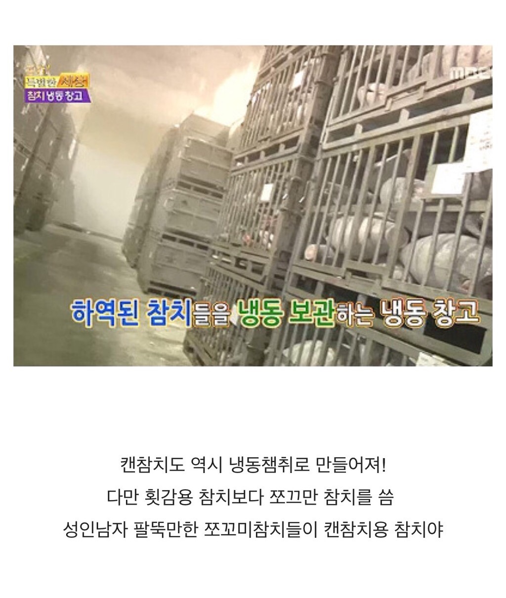 참치캔이 만들어지는 과정 | 인스티즈