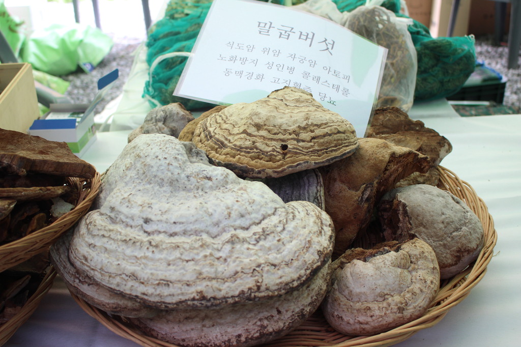 내안에 약초 이미지