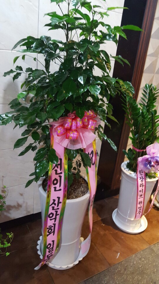 올래노래방 이미지