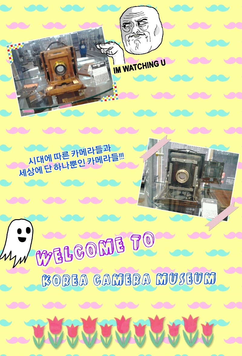 김효림 이미지