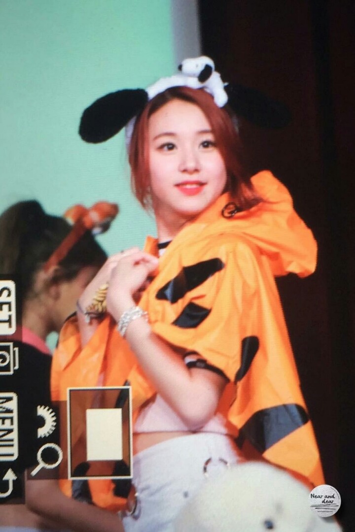 정말 귀여운 트와이스 채여이.jpgif | 인스티즈