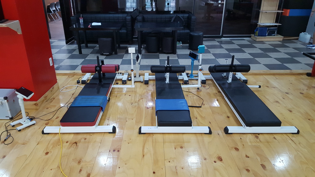 위너체대입시 이미지