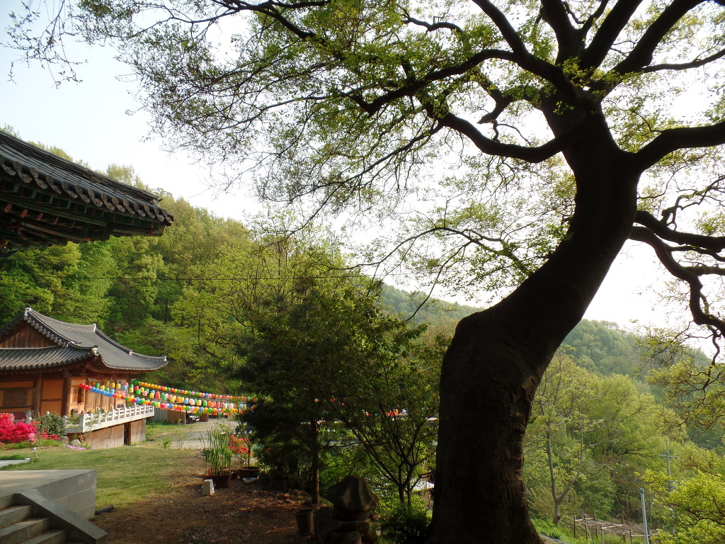 5000년전 마한시대 고인돌이 있는 전주 황방산 공원 산책하기 (안구정화) | 인스티즈
