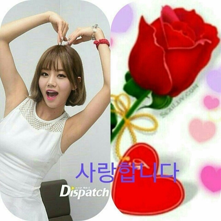 탑댄스 이미지