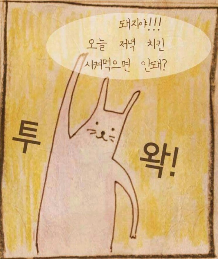 야돼지다 이미지