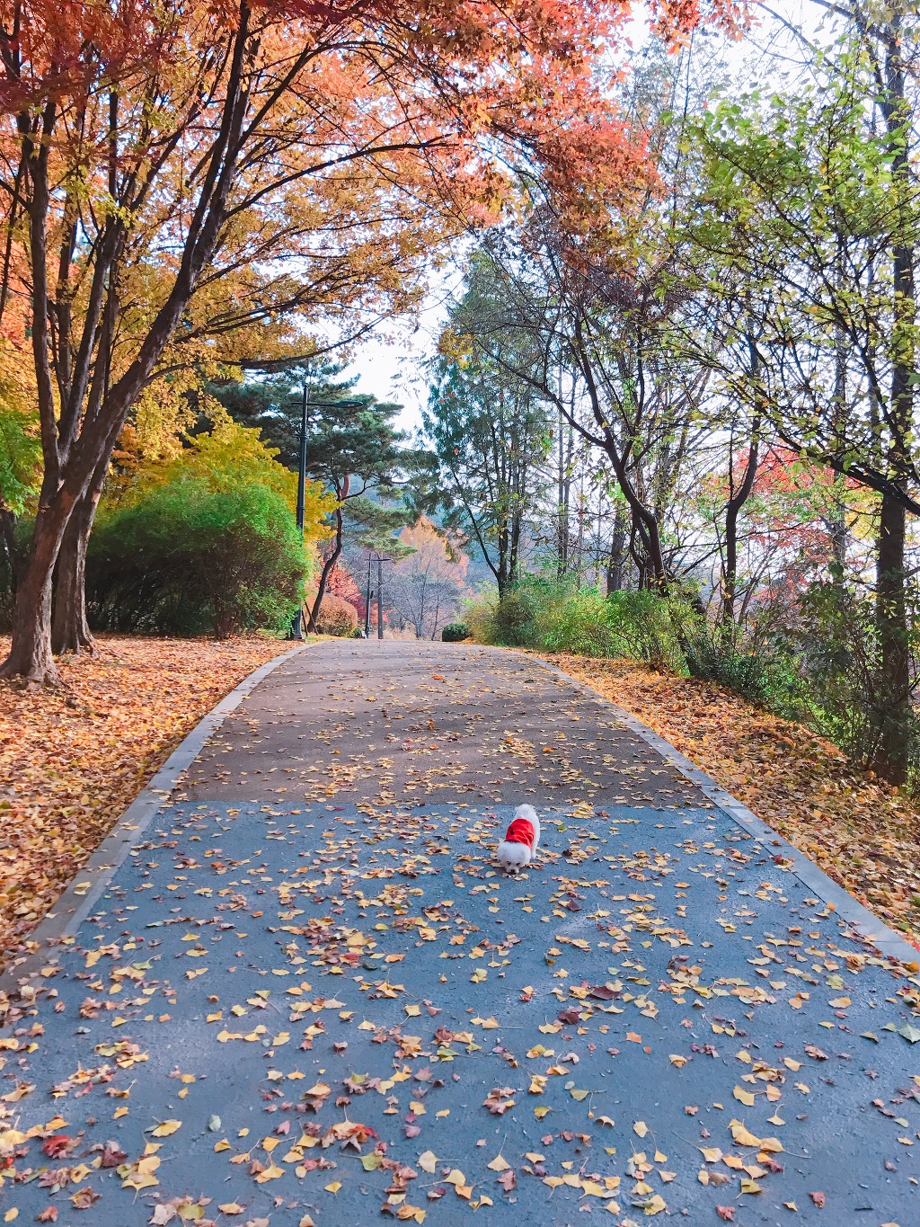 (주)남산 이미지