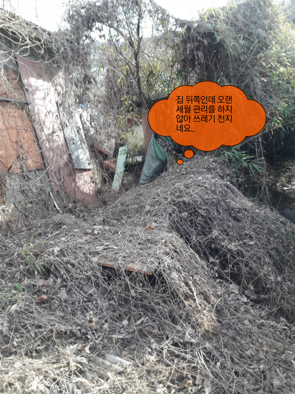 신세계노래주점 이미지
