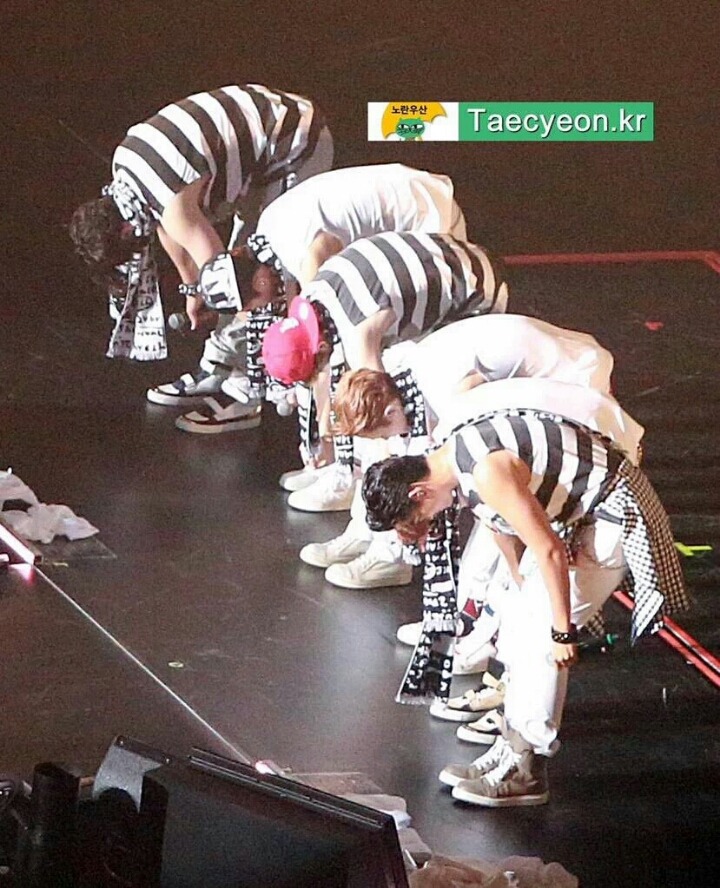 다이조부 이미지