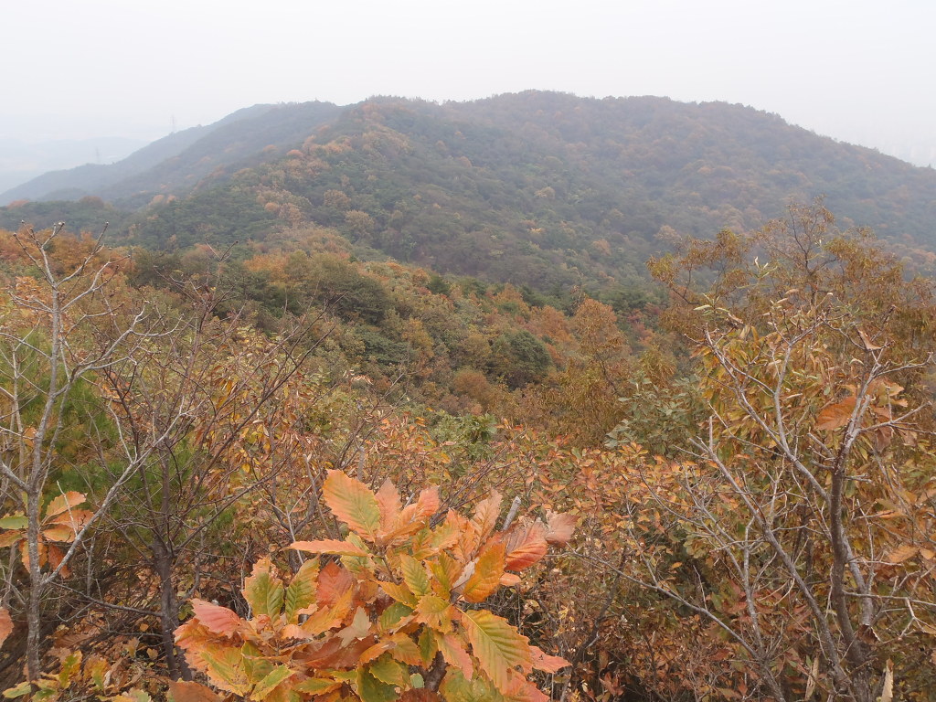 어등산호남대 이미지