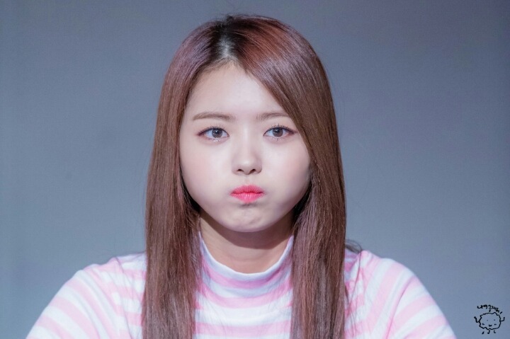 돌리더 임나영 | 인스티즈