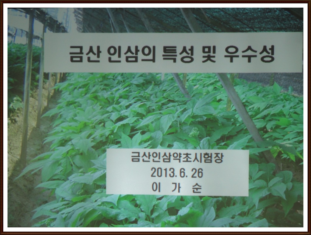 금산수삼시장(주) 이미지