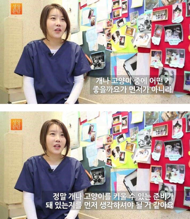 동물을 좋아하는 사람이 동물을 버린단 말이에요 | 인스티즈