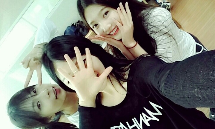 찬미 이미지