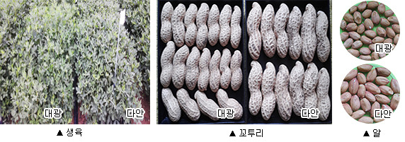 신풍개발 이미지
