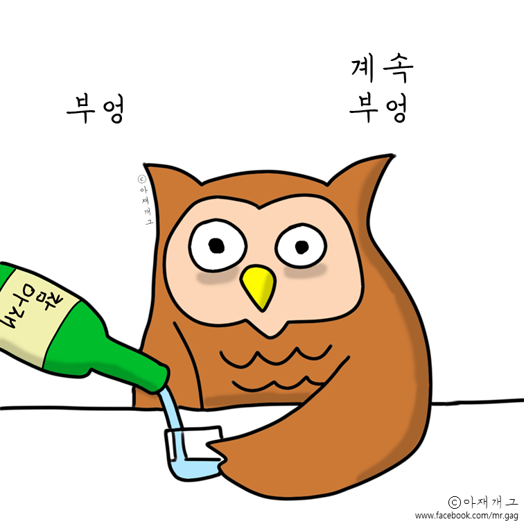 새들이 술마실때 ㅋㅋㅋㅋㅋ | 인스티즈