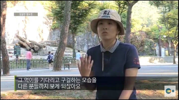 동물원 동물들이 월요병 생기는 이유 | 인스티즈
