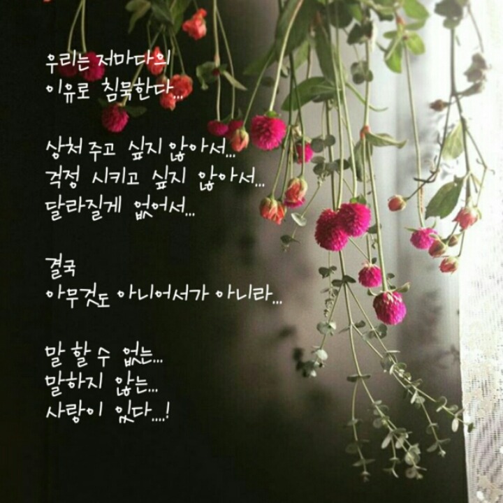 비도 이미지