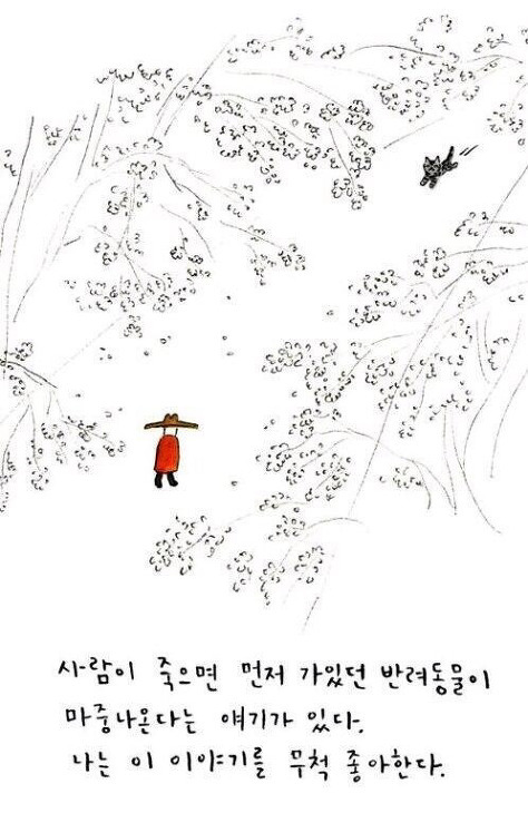 개가 늙어죽을 때 어떻게 죽는지 아니? | 인스티즈