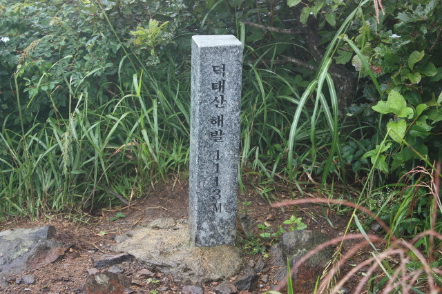 가현주유소 이미지