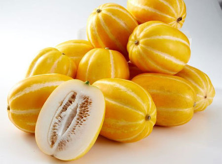 여시들은 | 인스티즈