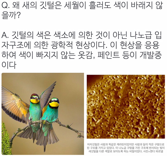 이과생 유머 몇가지 | 인스티즈
