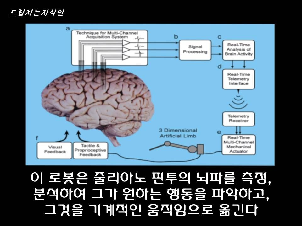  어마어마한 일들을 하고 있는 첨단 뇌공학 | 인스티즈