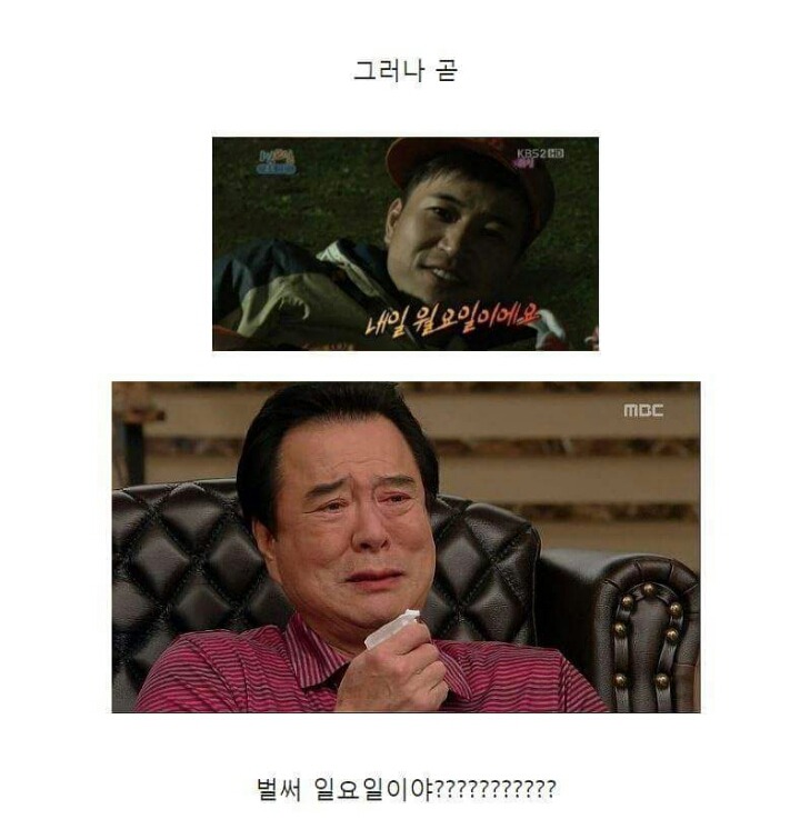 직장인들의 1년 사이클 | 인스티즈