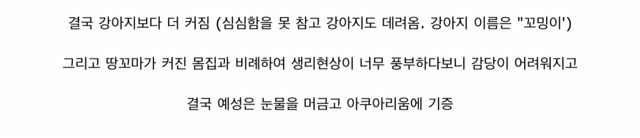 흔치 않은 아이돌의 애완동물 일대기.jpg | 인스티즈