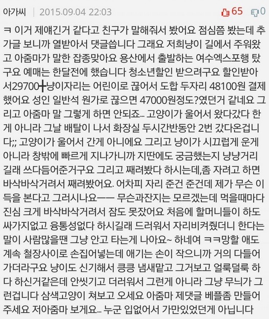 고양이 데리고 기차탄 아가씨 | 인스티즈