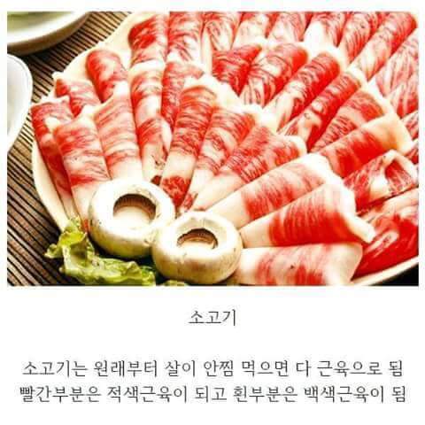 다이어트 꿀팁!! | 인스티즈