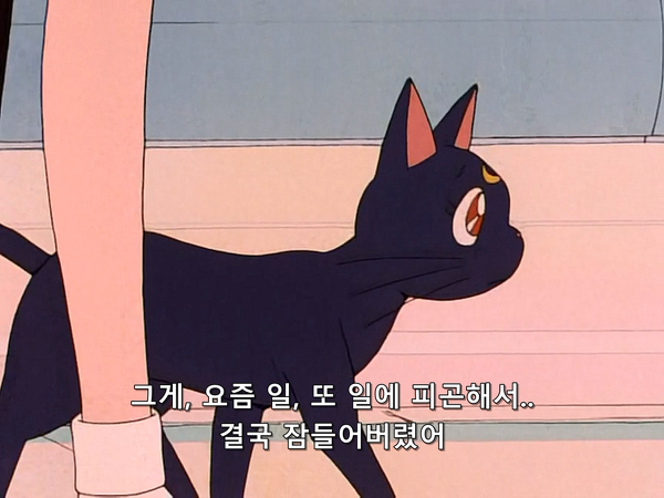 미소녀 전사 세일러문 (美少女戦士セーラームーン) 05 | 인스티즈