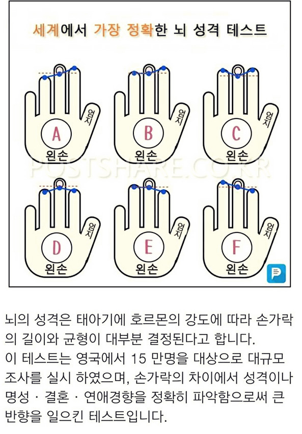 세계에서 가장 정확하다는 뇌 성격 테스트 | 인스티즈