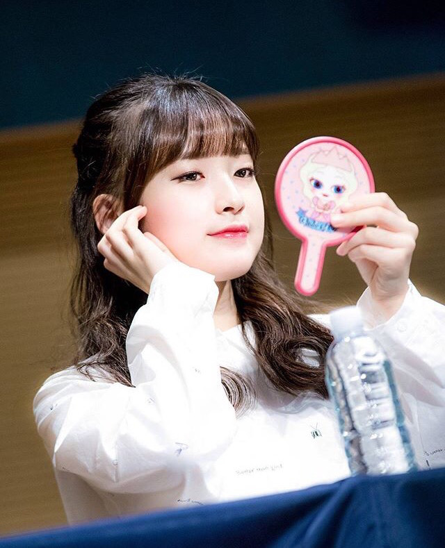 로디 이미지