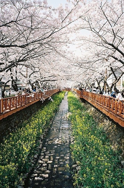  걷고 싶은 거리 고르기 | 인스티즈