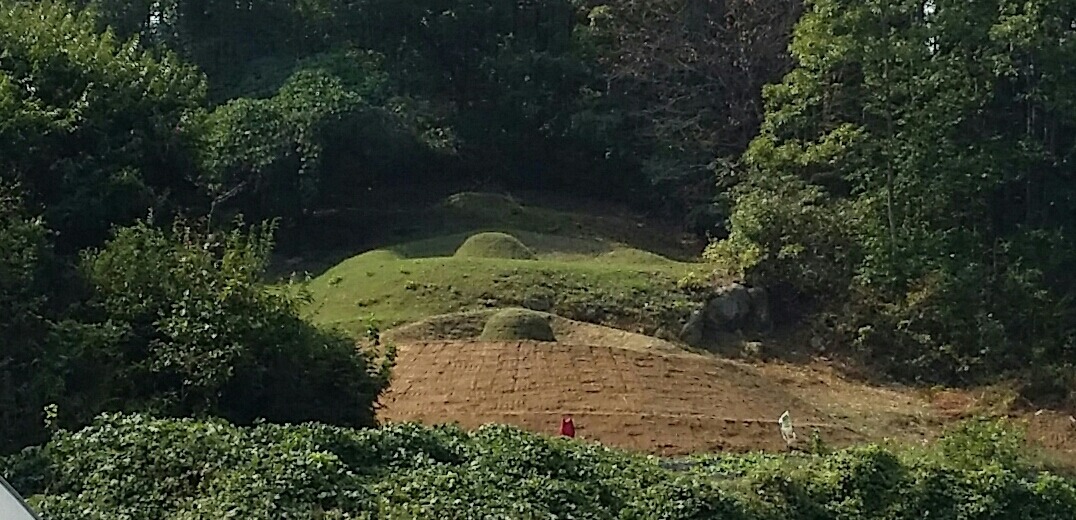 이담리 이미지