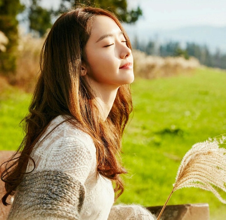 이니스프리신 이미지